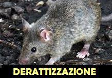 DISINFESTAZIONE DERATTIZZAZIONE BIOLOGICA A PISA